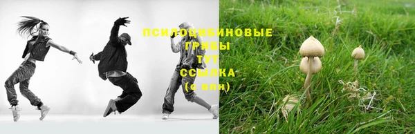ECSTASY Абаза