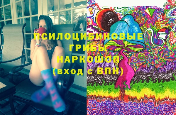 бутират Алексин
