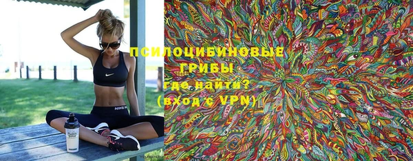 ешки Алексеевка